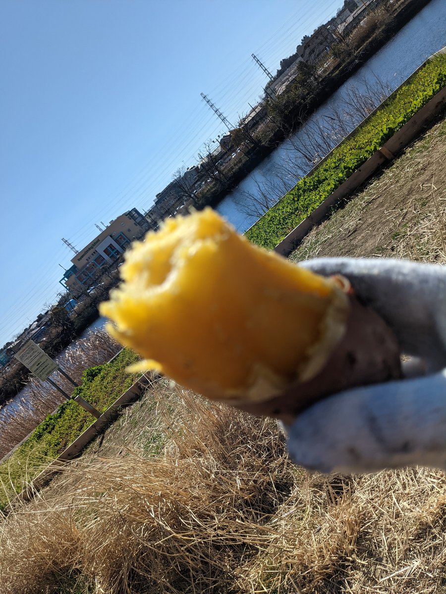 Fresh Street Takoyaki in Tsunashima-nishi, Yokohama photo 2