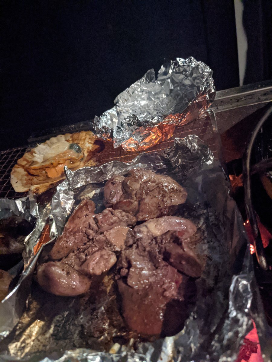 Bonfire Night at Hokuto Forest Cabin, Yamanashi photo 5