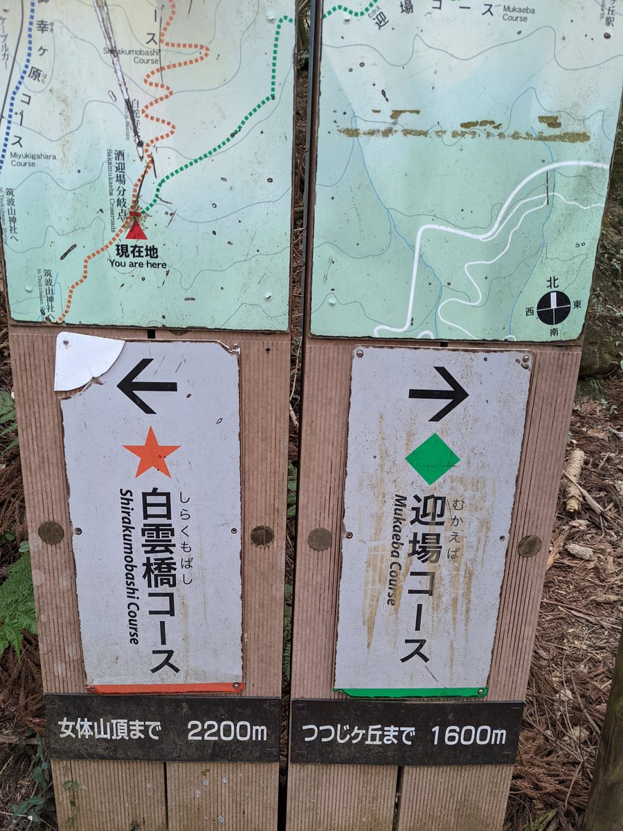 Mt. Tsukuba Trail Signs, Early Morning Light, Ibaraki