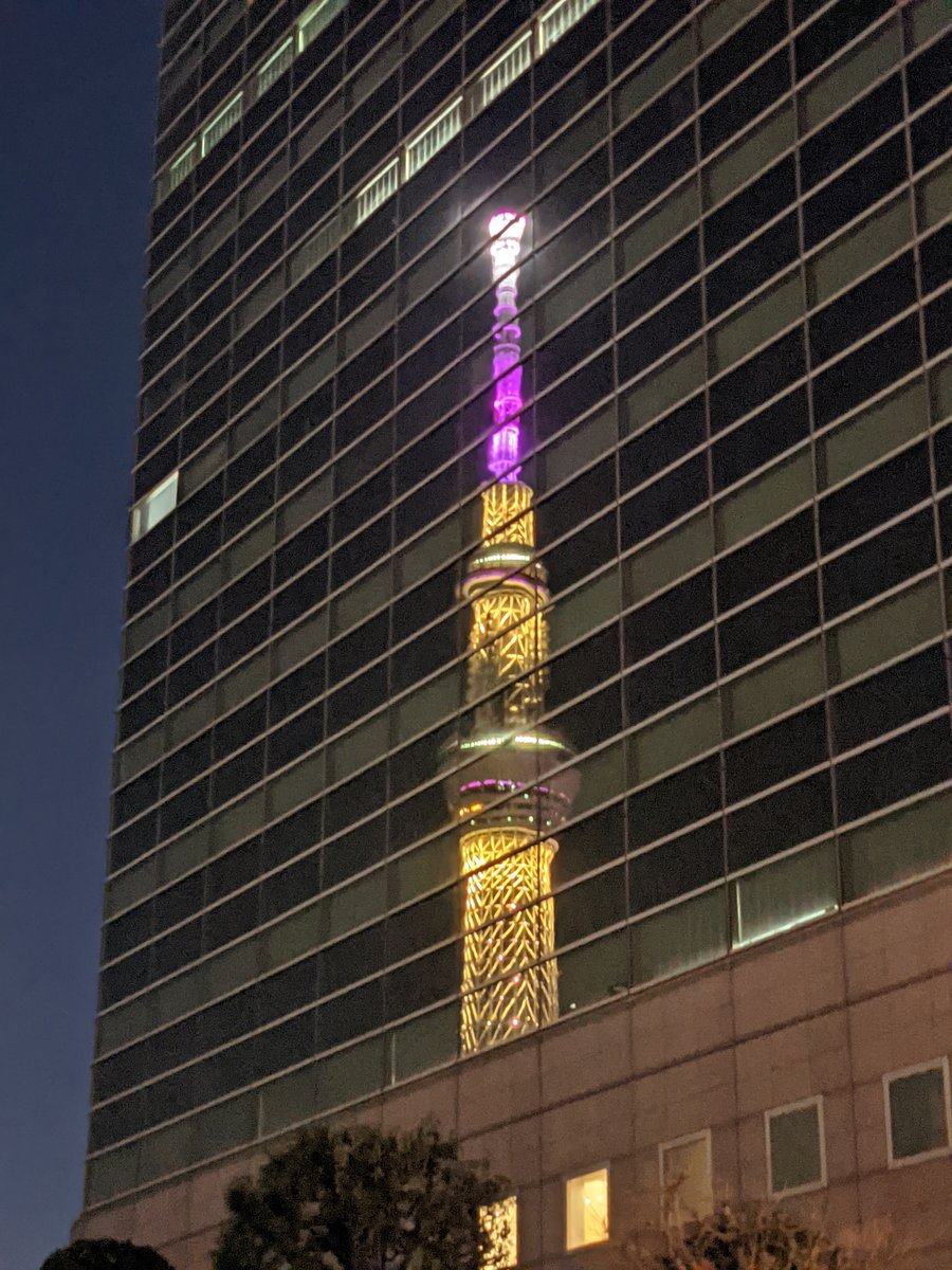 Sakura Canopy at Night, Mukōjima, Tokyo photo 3