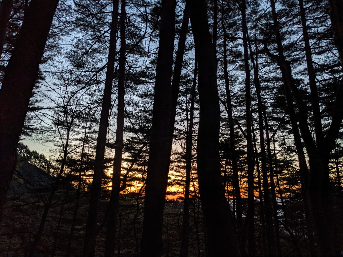 Dawn Forest Hike in Nishikatsura, Yamanashi