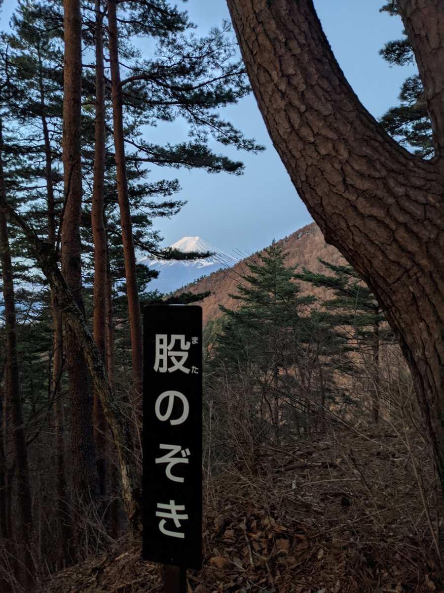 Dawn Forest Hike in Nishikatsura, Yamanashi photo 2