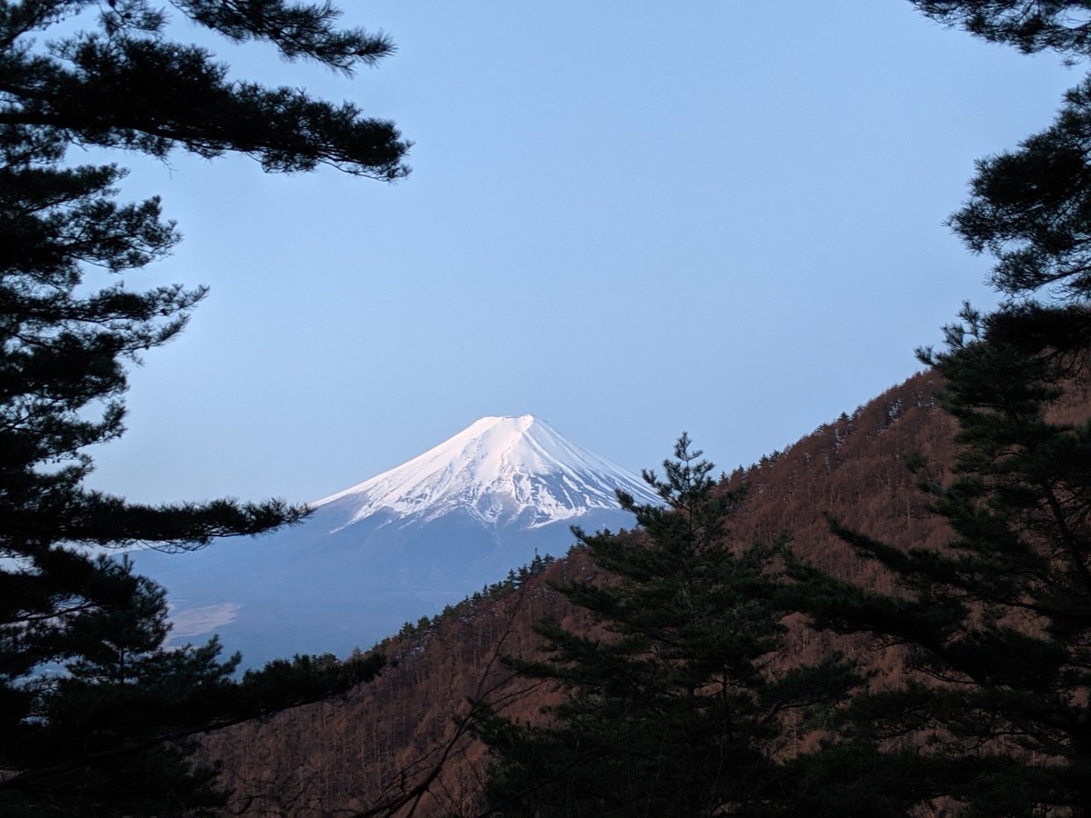 Dawn Forest Hike in Nishikatsura, Yamanashi photo 3