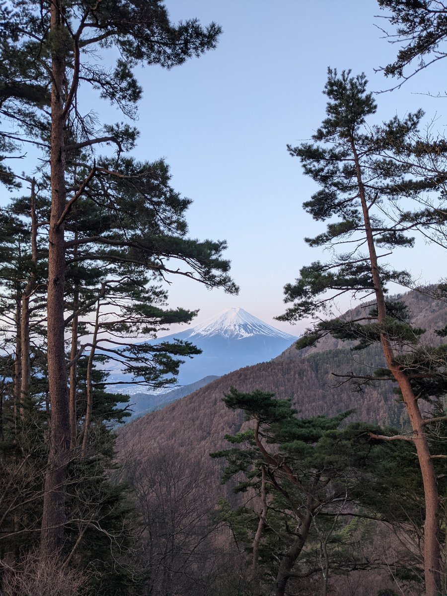 Dawn Forest Hike in Nishikatsura, Yamanashi photo 5