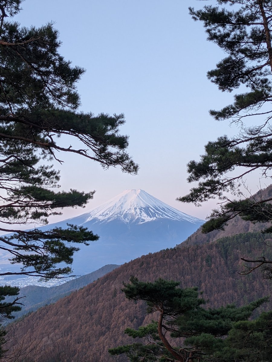 Dawn Forest Hike in Nishikatsura, Yamanashi photo 6