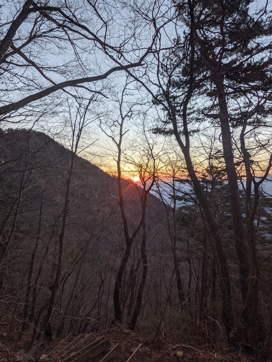 Dawn Through Bare Branches, Lake Kawaguchi, Yamanashi photo 3