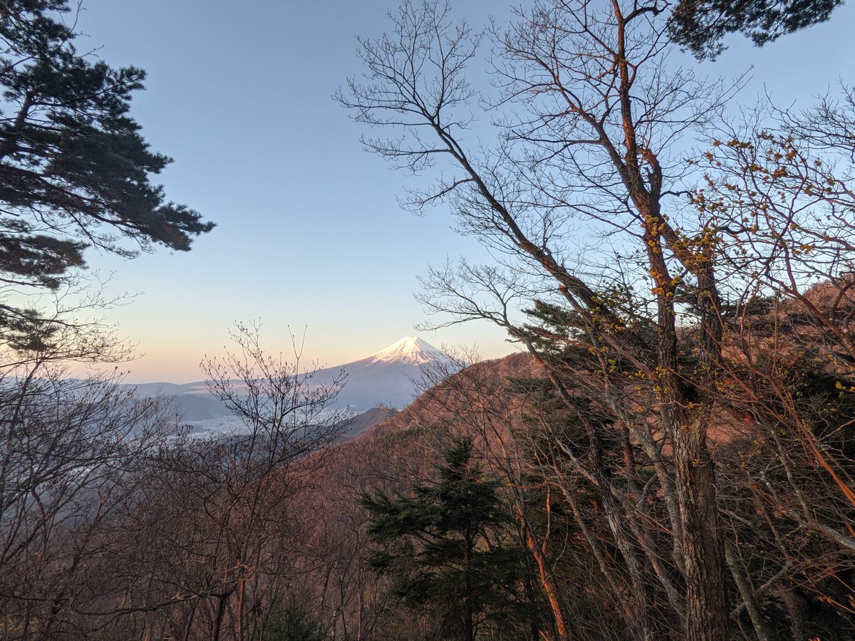 Dawn Through Bare Branches, Lake Kawaguchi, Yamanashi photo 4