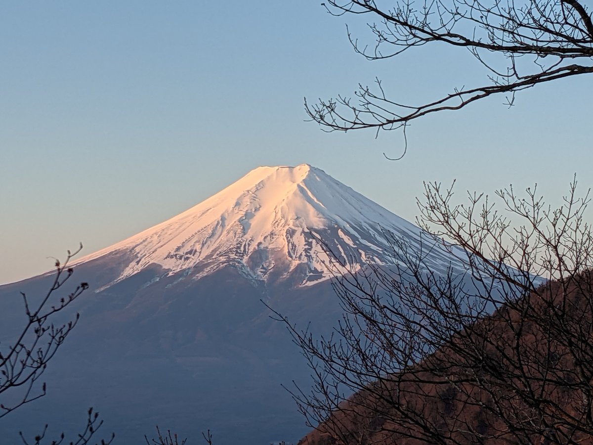 Dawn Through Bare Branches, Lake Kawaguchi, Yamanashi photo 5