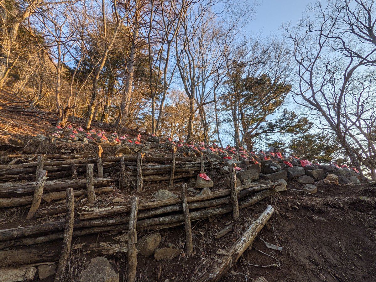 Early Spring Hike Near Lake Kawaguchi, Yamanashi