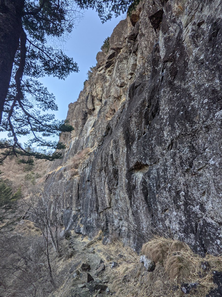 Early Spring Hike Near Lake Kawaguchi, Yamanashi photo 5