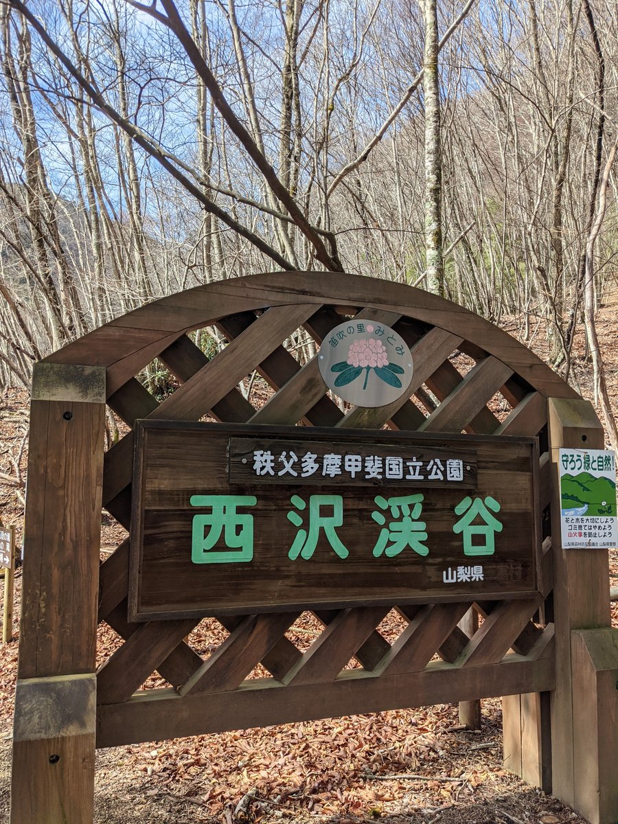 Nishizawa Gorge Forest Trail, Yamanashi