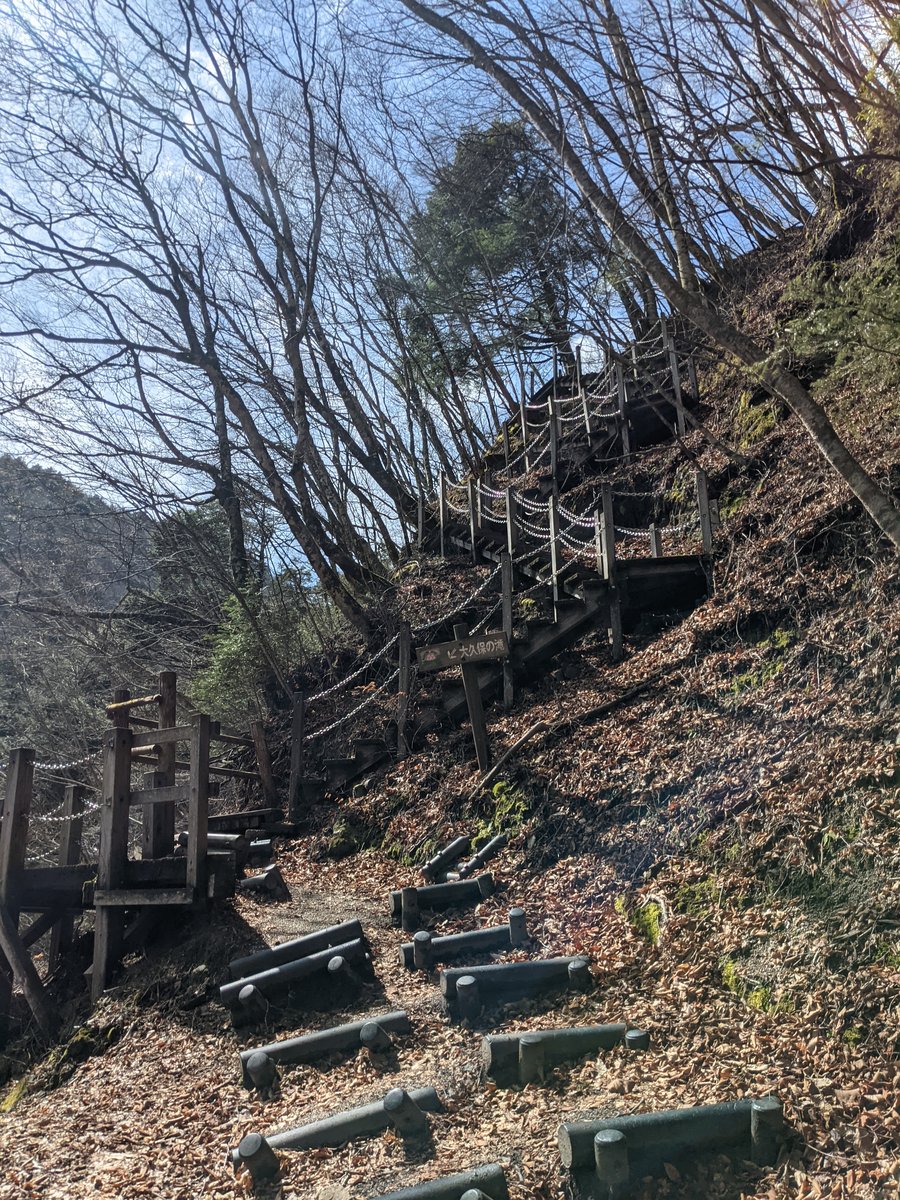 Nishizawa Gorge Forest Trail, Yamanashi photo 2