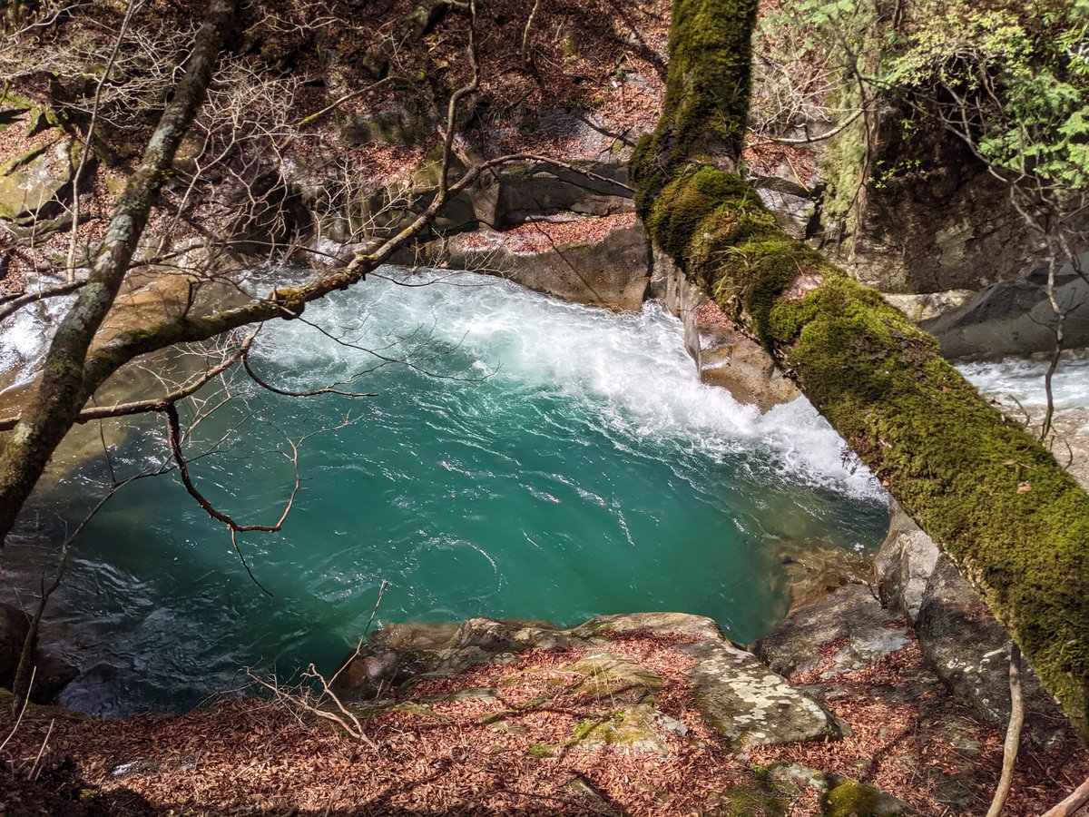 Nishizawa Gorge Forest Trail, Yamanashi photo 3