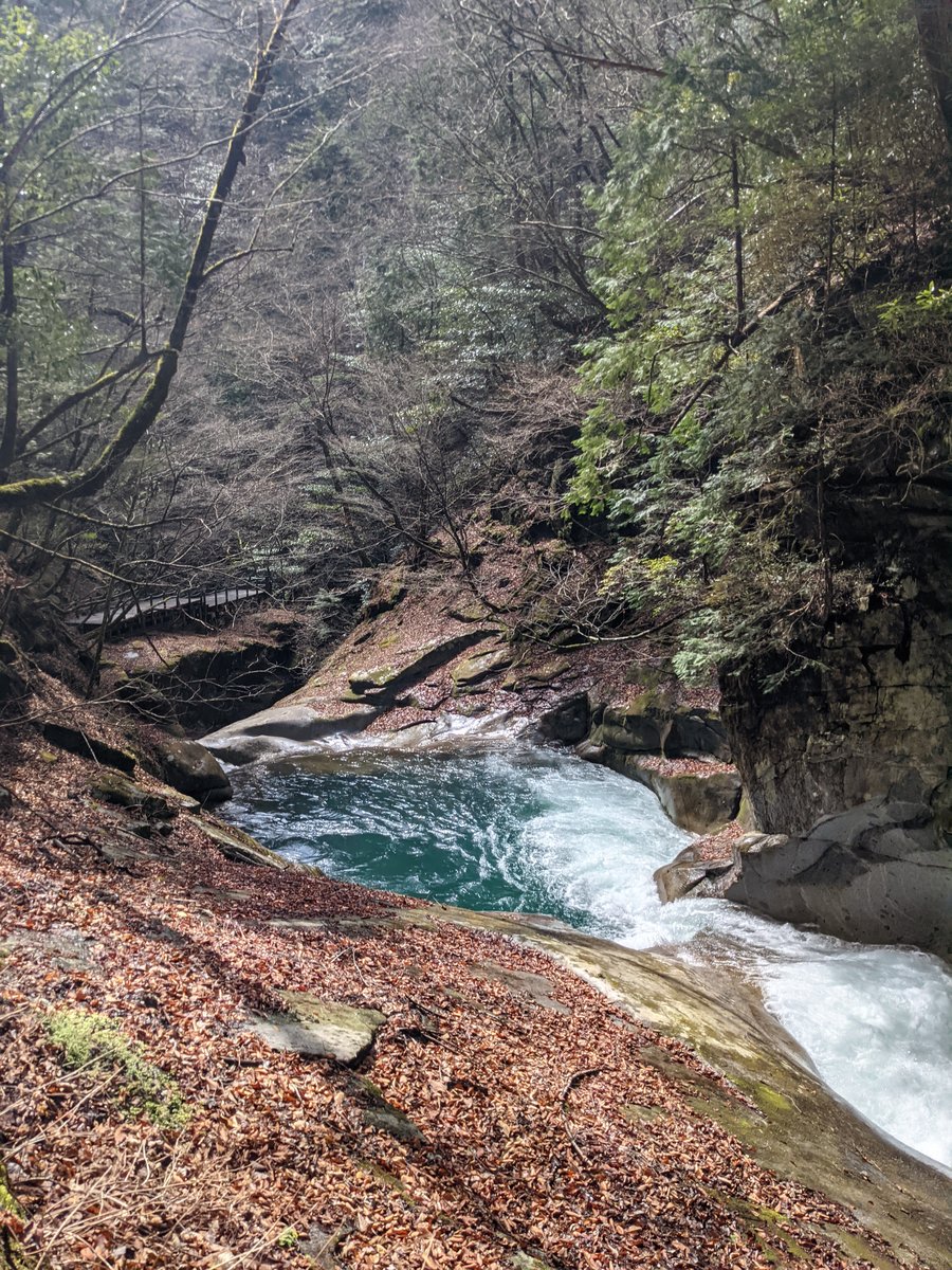 Nishizawa Gorge Forest Trail, Yamanashi photo 4