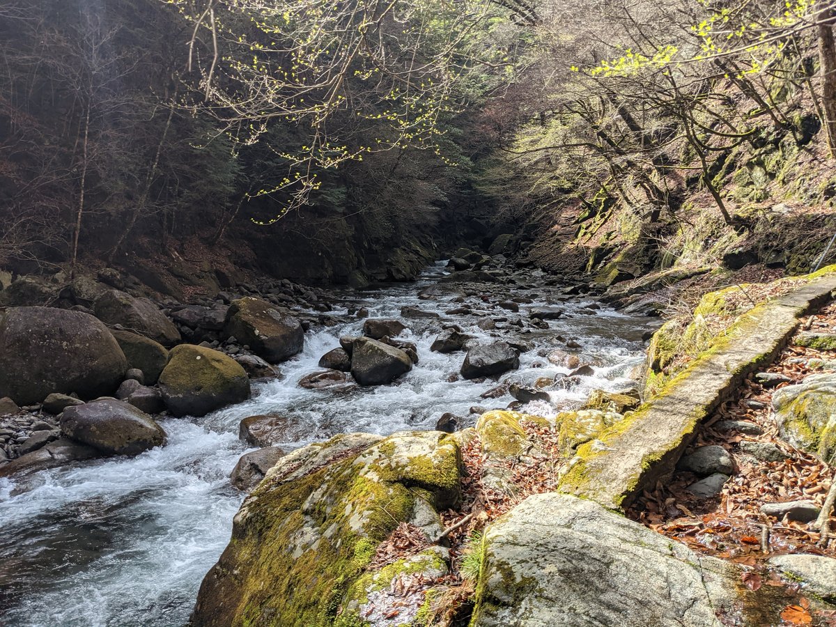 Nishizawa Gorge Forest Trail, Yamanashi photo 5