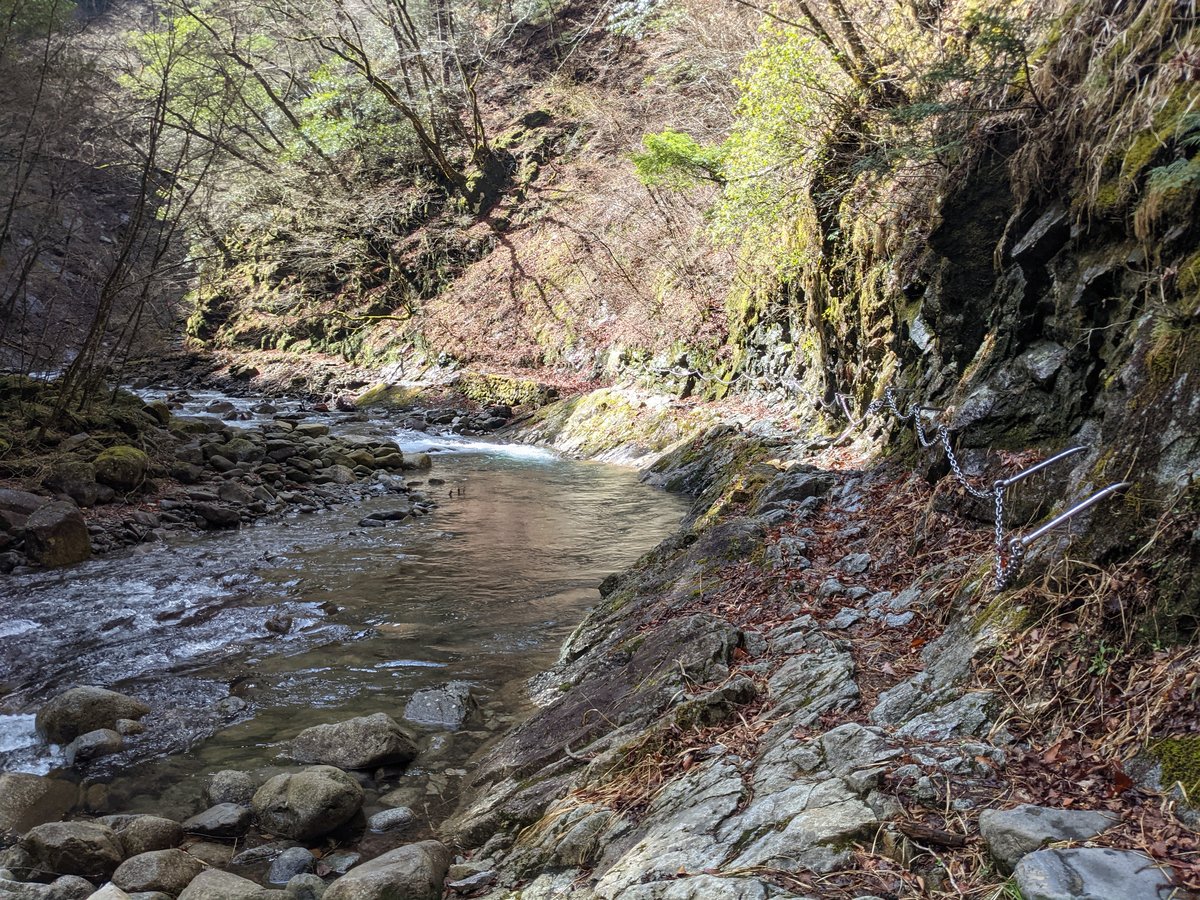 Nishizawa Gorge Forest Trail, Yamanashi photo 6