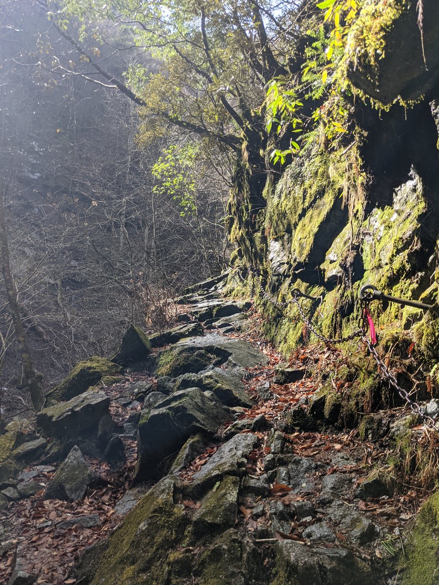 Nishizawa Gorge Forest Trail, Yamanashi photo 7
