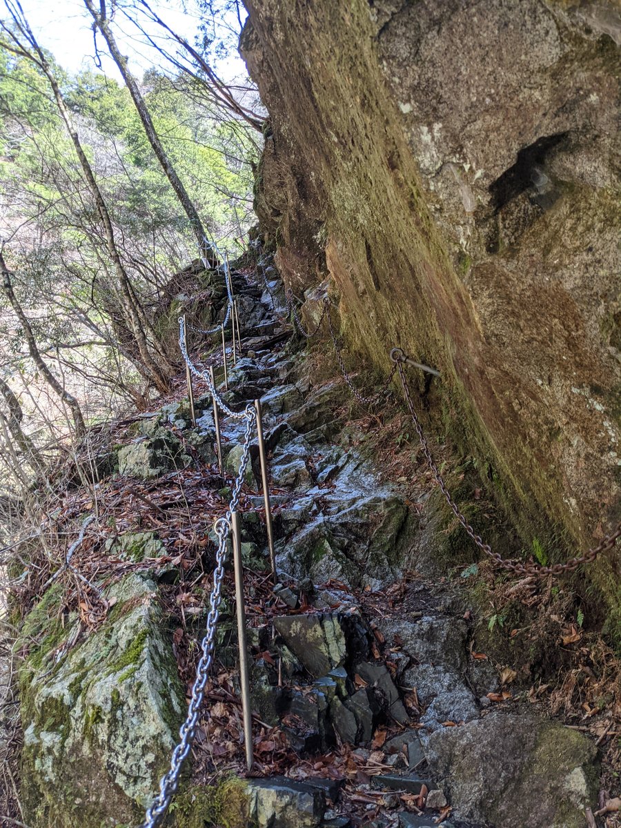 Nishizawa Gorge Forest Trail, Yamanashi photo 8