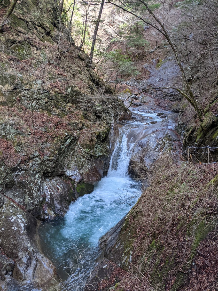 Nishizawa Gorge Forest Trail, Yamanashi photo 9