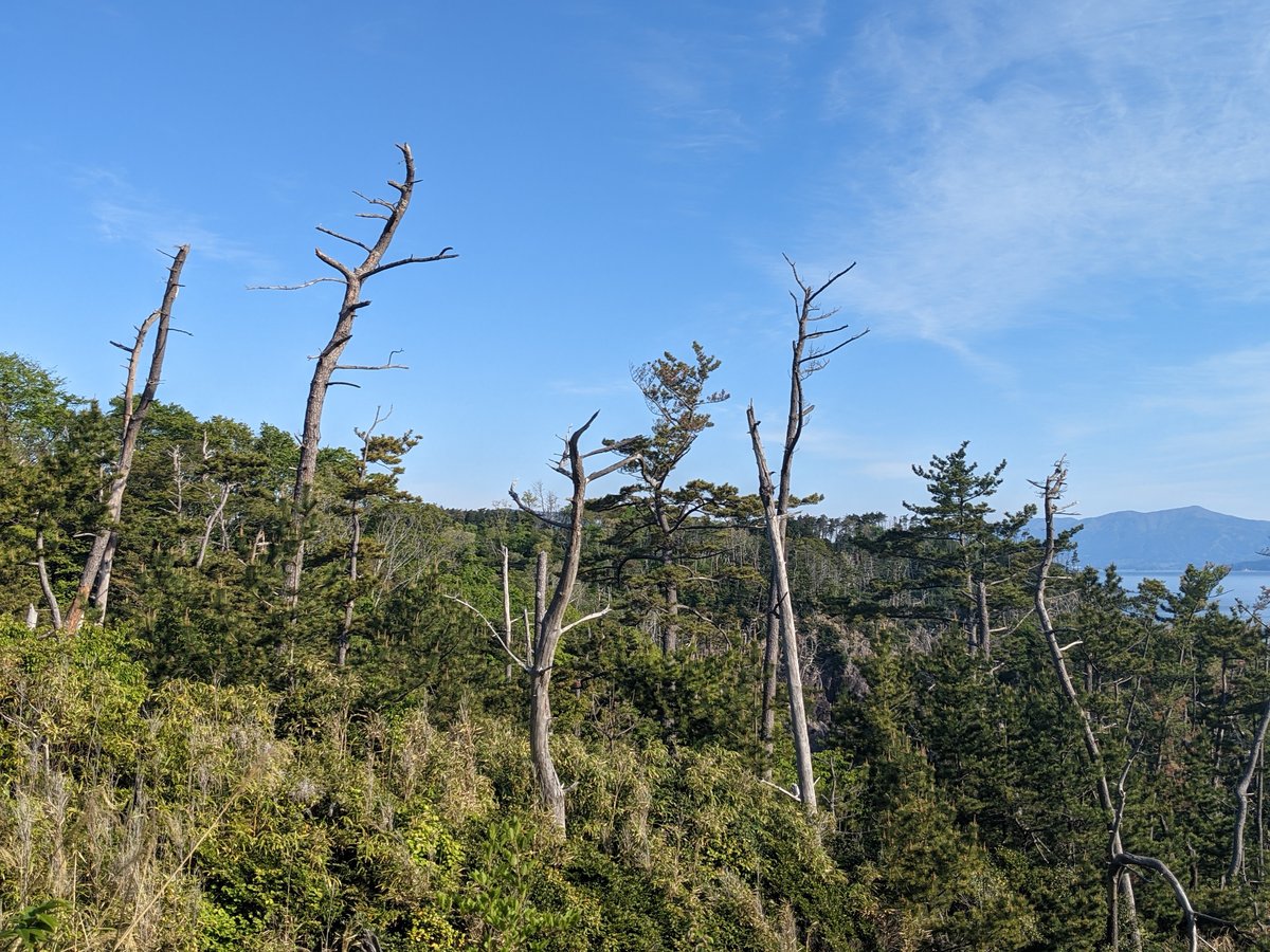 Karakuwa Peninsula Dawn Hike, Kesennuma photo 2