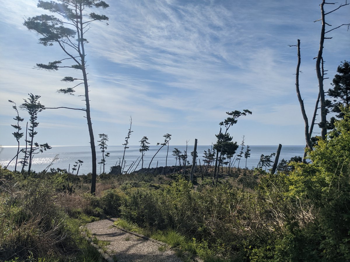 Early Morning Coastal Trail, Kesennuma Miyagi