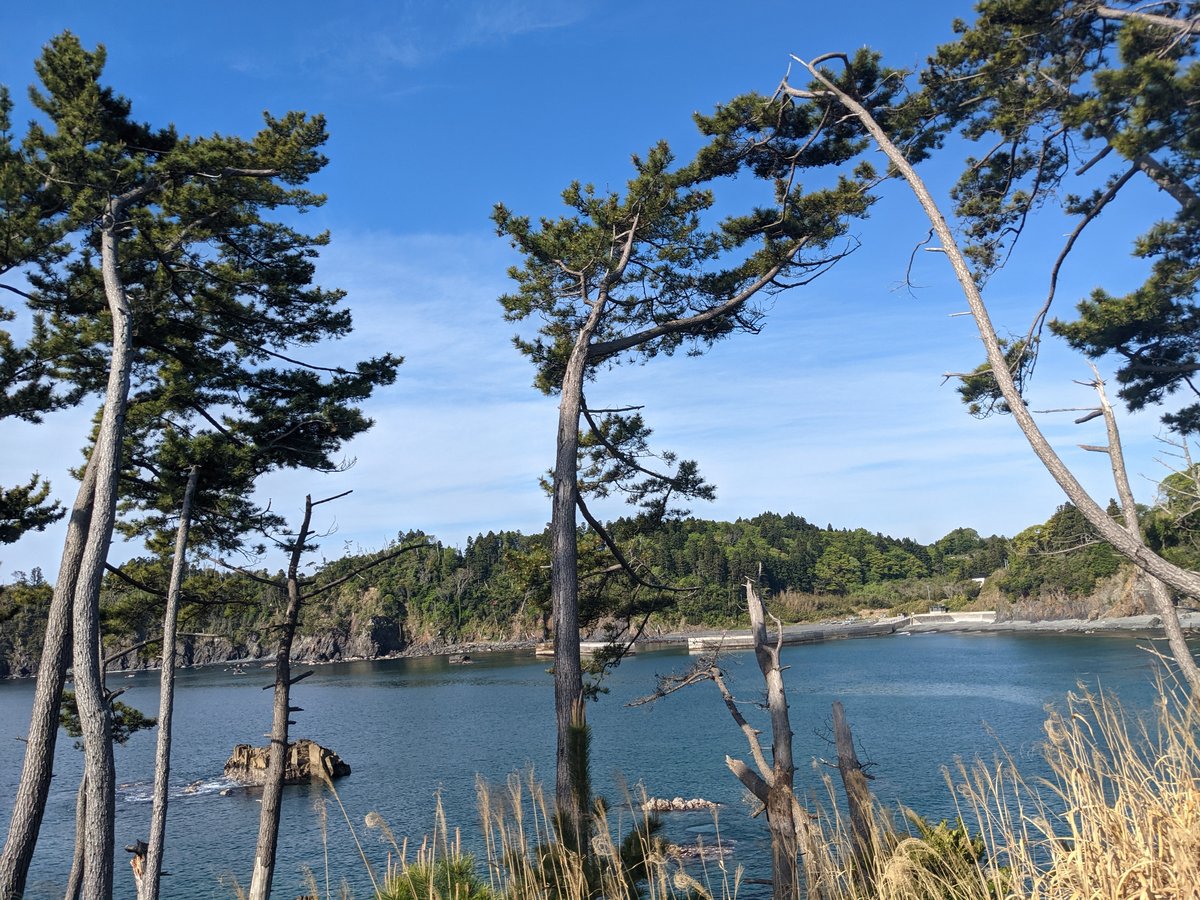 Early Morning Coastal Trail, Kesennuma Miyagi photo 2