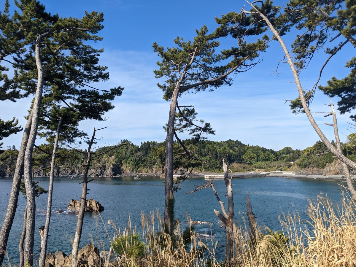 Early Morning Coastal Trail, Kesennuma Miyagi photo 3