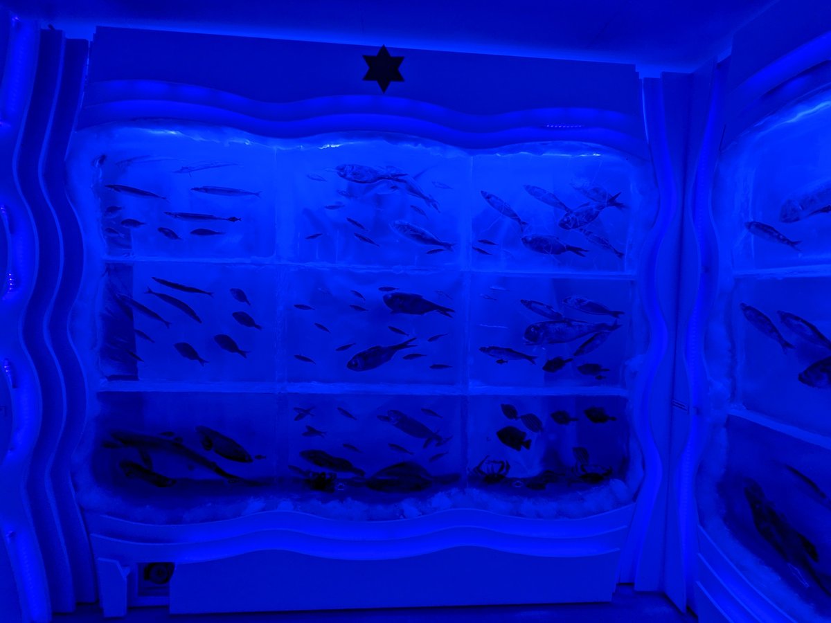 Fresh Catch at Ushiomi Fish Market, Kesennuma