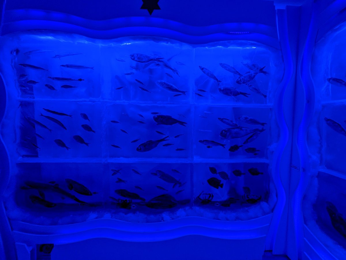 Fresh Catch at Ushiomi Fish Market, Kesennuma photo 2