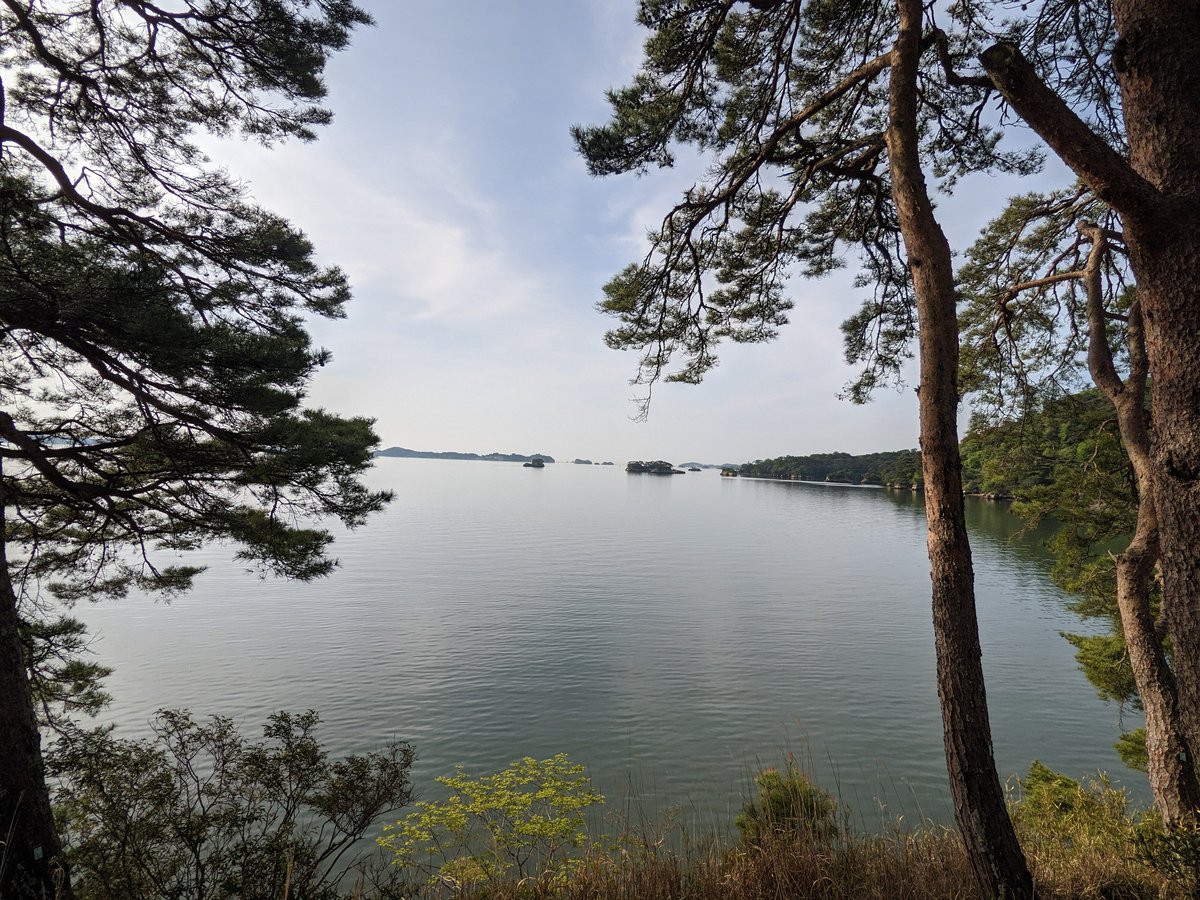 Matsushima Bay View Through Ancient Pines, Miyagi