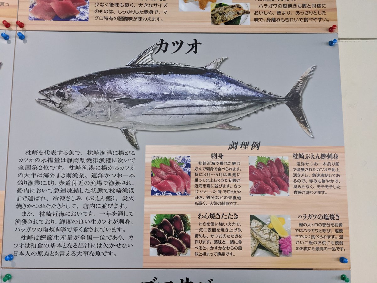 Maguro Don at Shiomicho, Makurazaki, Kagoshima photo 3