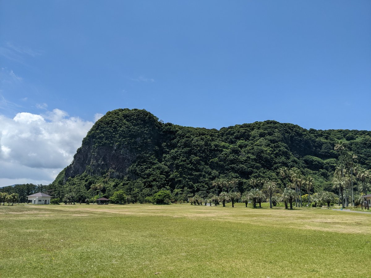 Scenic Meadow & Forest, Ibusuki Kagoshima