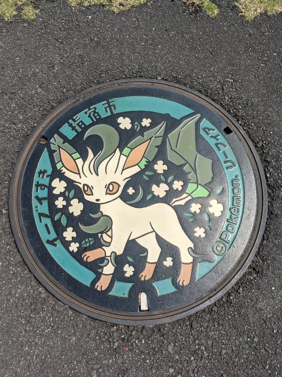 Scenic Meadow & Forest, Ibusuki Kagoshima photo 4