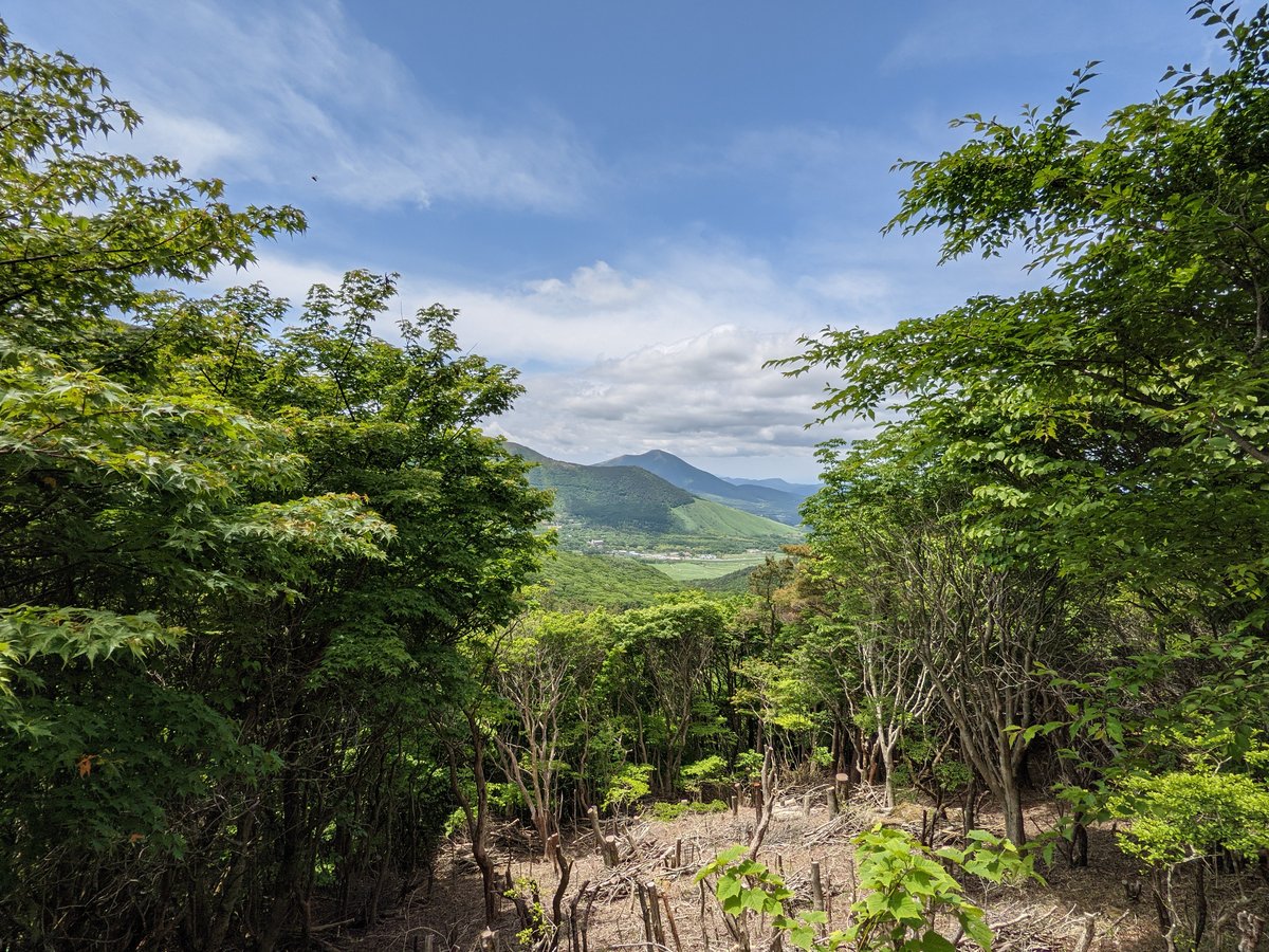Mountain Forest Trail, Mt. Kuju Range, Taketa photo 4