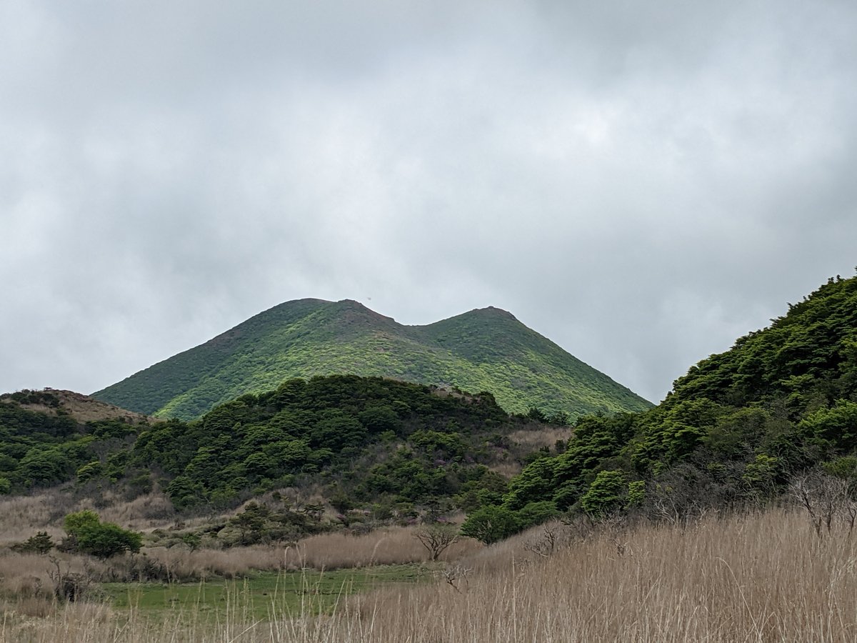 Mountain Forest Trail, Mt. Kuju Range, Taketa photo 5