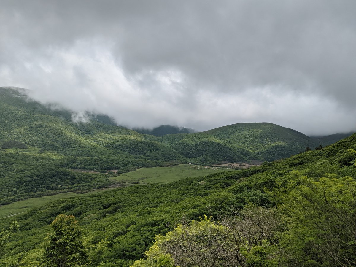 Mountain Forest Trail, Mt. Kuju Range, Taketa photo 9