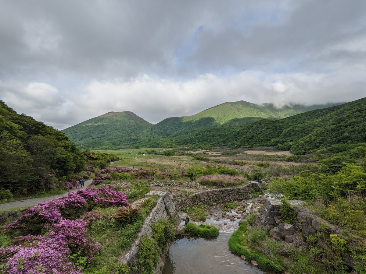 Alpine Meadow Trail, Mt. Kuju Range, Taketa photo 8