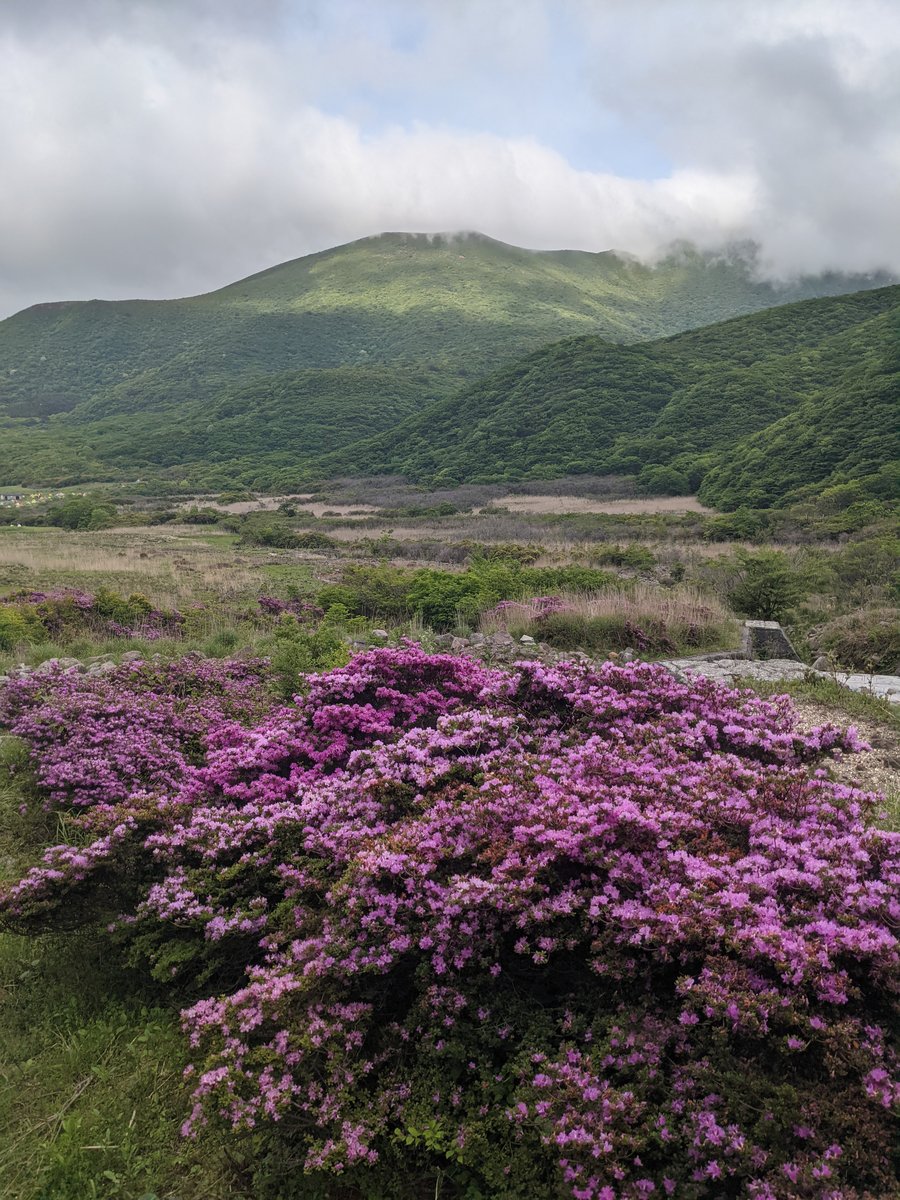 Alpine Meadow Trail, Mt. Kuju Range, Taketa photo 9
