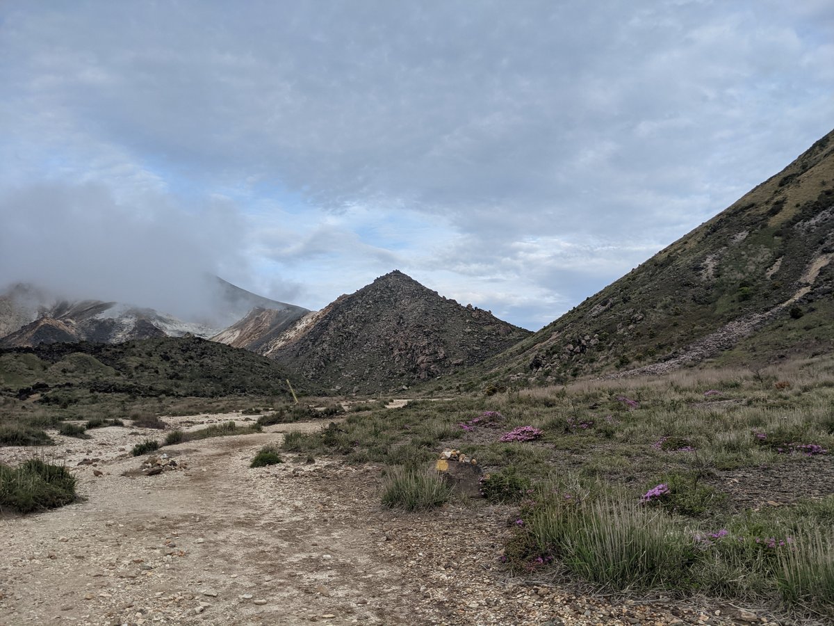 Mt. Kuju Alpine Meadow in Bloom, Taketa photo 2