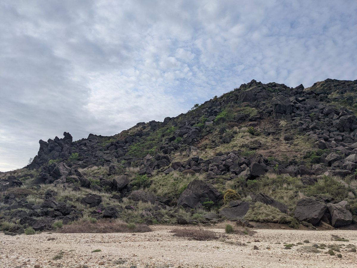Mt. Kuju Alpine Meadow in Bloom, Taketa photo 3