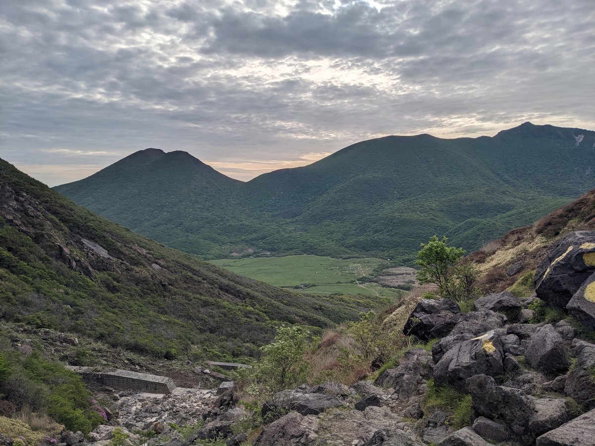 Mt. Kuju Alpine Meadow in Bloom, Taketa photo 4