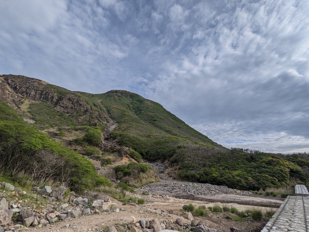 Mt. Kuju Alpine Meadow in Bloom, Taketa photo 6