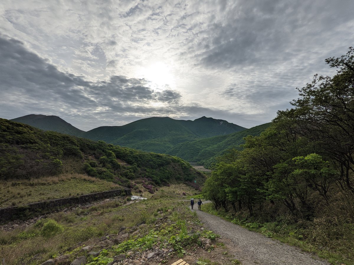 Mt. Kuju Alpine Meadow in Bloom, Taketa photo 7