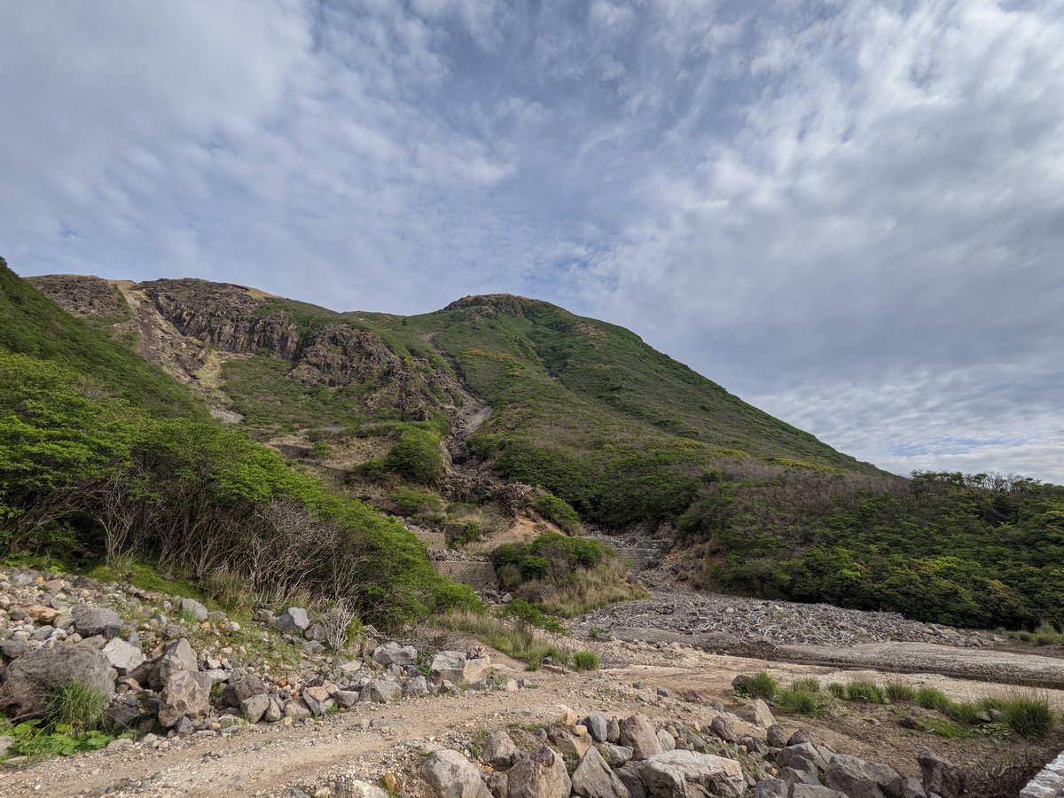 Mt. Kuju Alpine Meadow in Bloom, Taketa photo 8