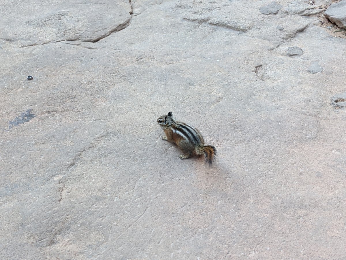 Red Rock Canyon Hiking, Utah photo 9