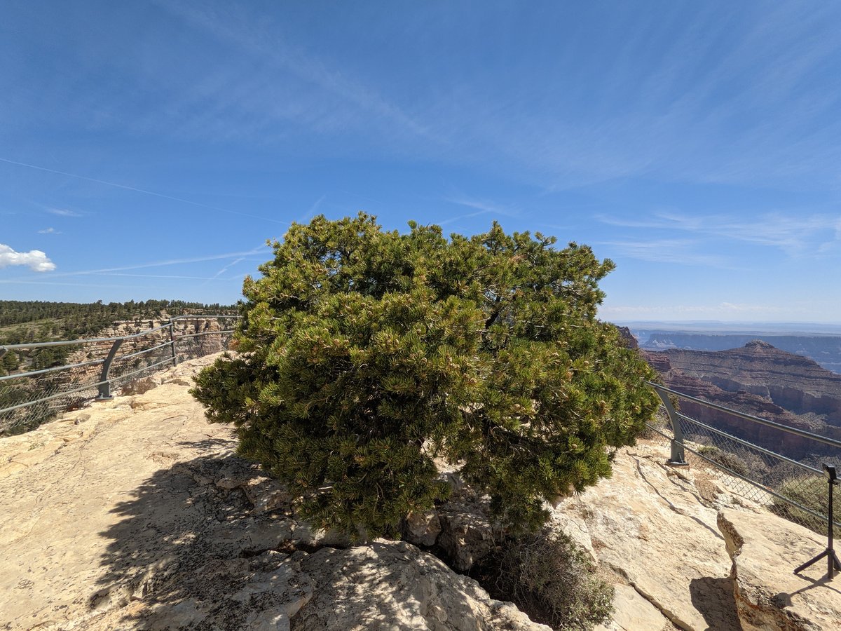 Desert Views from Arizona's High Country photo 8