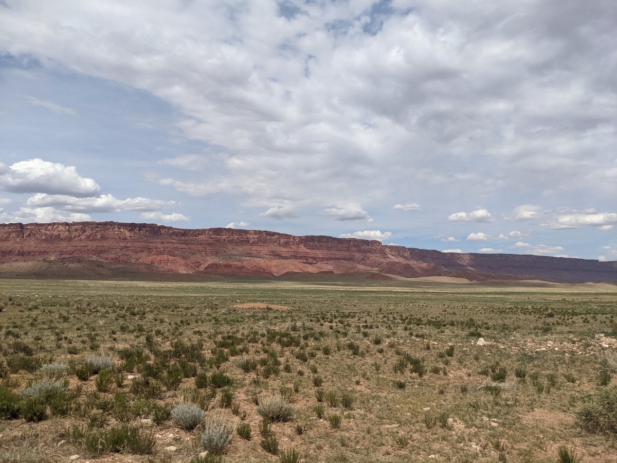 Vermilion Cliffs National Monument, Arizona photo 3