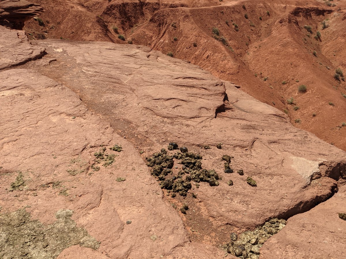 Monument Valley, Arizona — Desert Majesty at Last photo 8