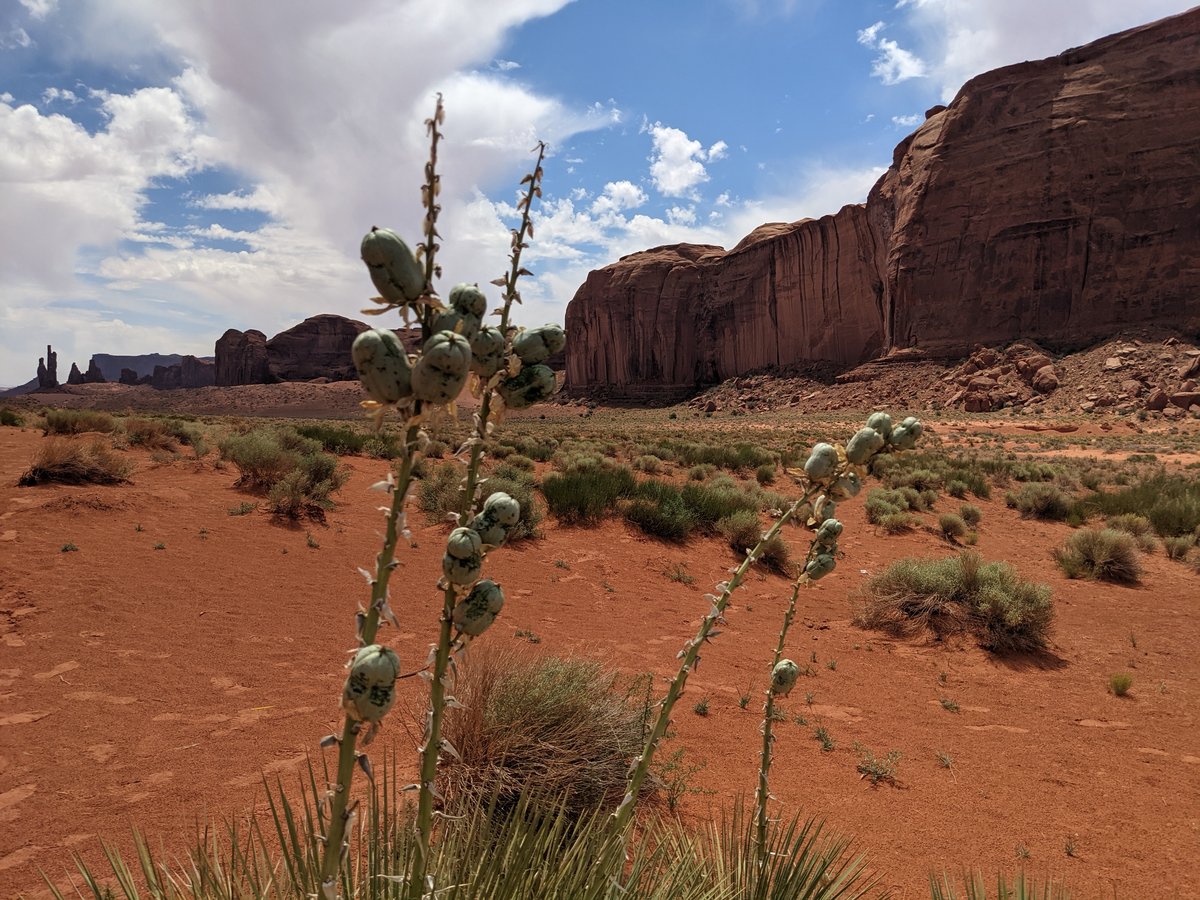 Monument Valley, Arizona — Desert Butte Majesty photo 2