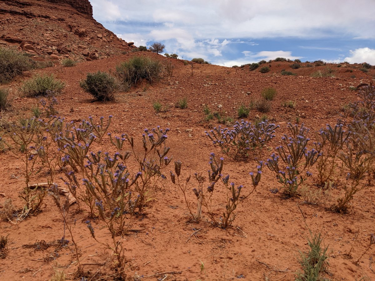 Monument Valley's Iconic Butte, Arizona photo 2